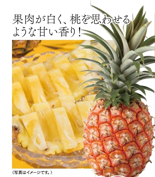 【  産地直送  1018 ： お届け先ご住所が 離島・県外向け】 蔵 農協直販沖縄産ピーチパイン（6玉）パイン1玉約1ｋｇ