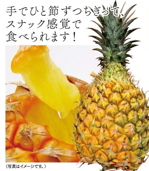 【  産地直送 1066：お届け先住所が 沖縄県内離島・沖縄県外向け 】  蔵  沖縄島産スナックパイン6玉(１玉約１ｋｇ)