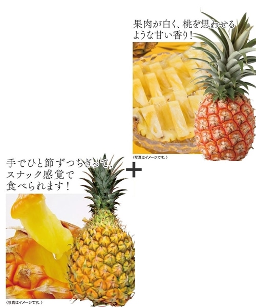 【  産地直送 1073：お届け先住所が 沖縄県内離島・沖縄県外向け 】  蔵  沖縄産ピーチパイン・スナックパイン（各３玉・計６玉）(１玉約１ｋｇ)