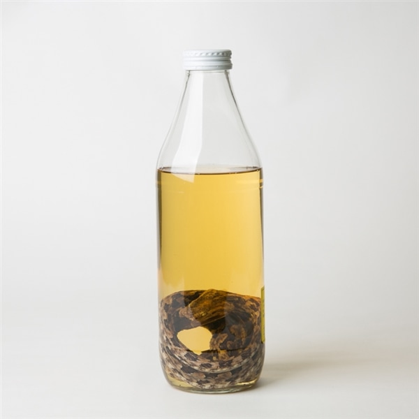 泡盛35度800ml　南都酒造所　ハブ入りハブ酒