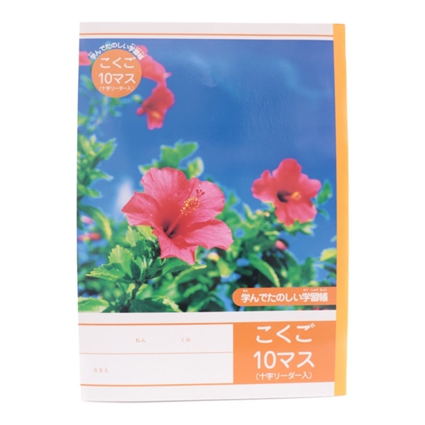 学んで楽しい学習帳こくご１０マス