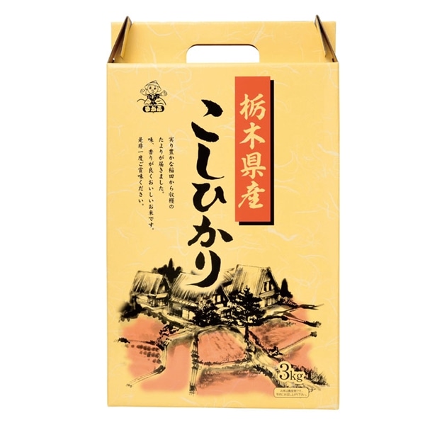 【 9334 】◇ 第一食糧 栃木産こしひかり 3Ｋｇ