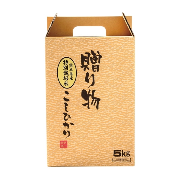 【 9320 】 ◇ 第一食糧特別栽培　熊本産こしひかり巾着５Ｋｇ