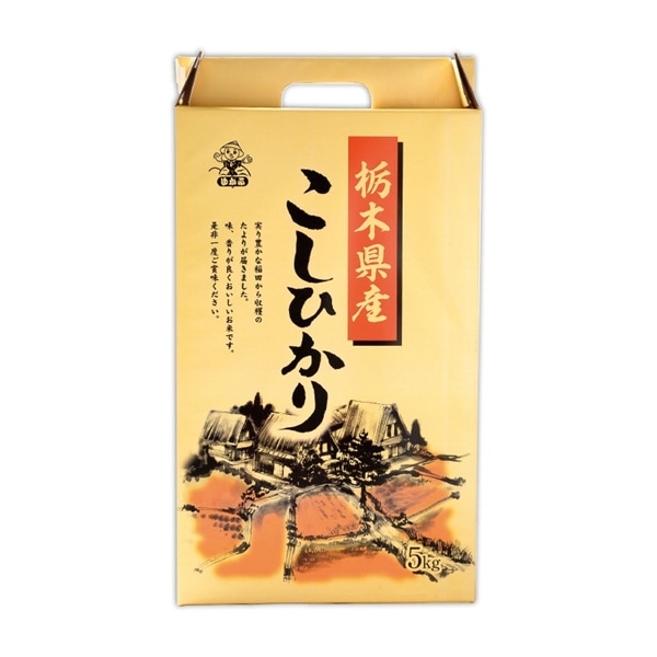 【 9318 】◇ 第一食糧 栃木産こしひかり ５Ｋｇ